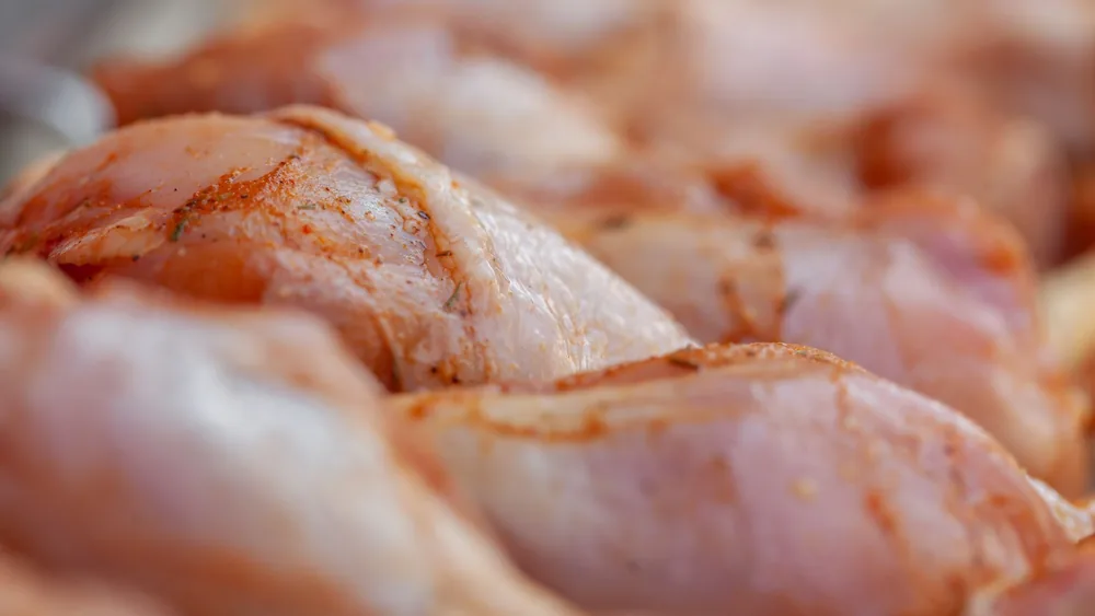 Closeup of tasty raw chicken legs with seasoning placed in row in daylight