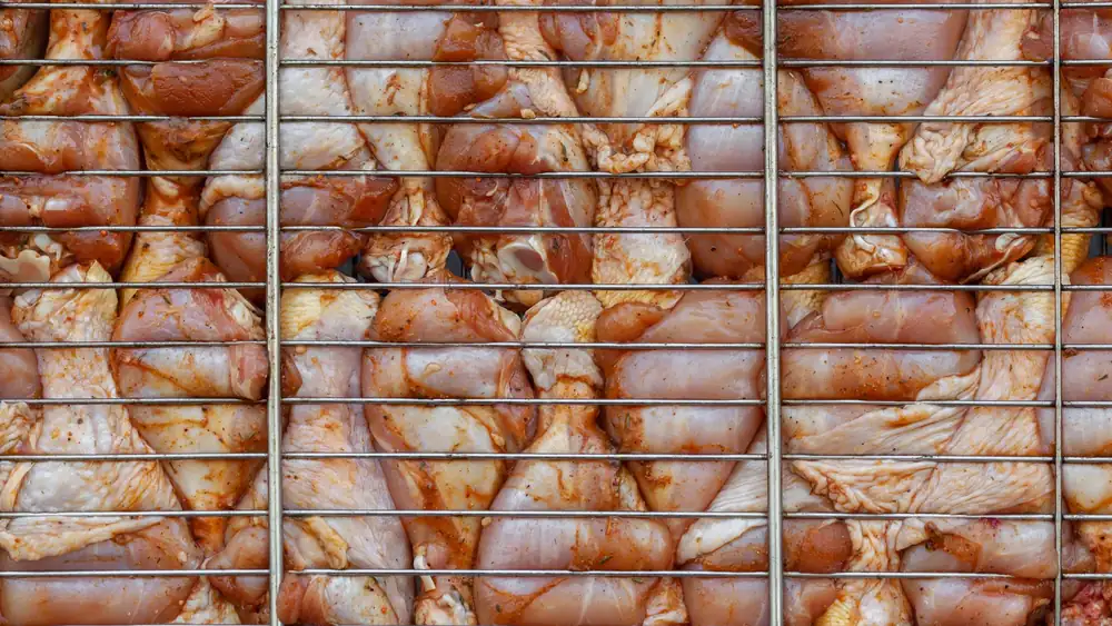 Top view background of raw chicken drumsticks with skin and condiments under metal rack in daytime