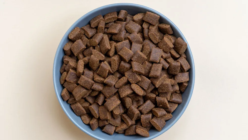 Aerial view of dry brown dog kibble in a pastel blue bowl against a beige backdrop, perfect for pet food advertisements.