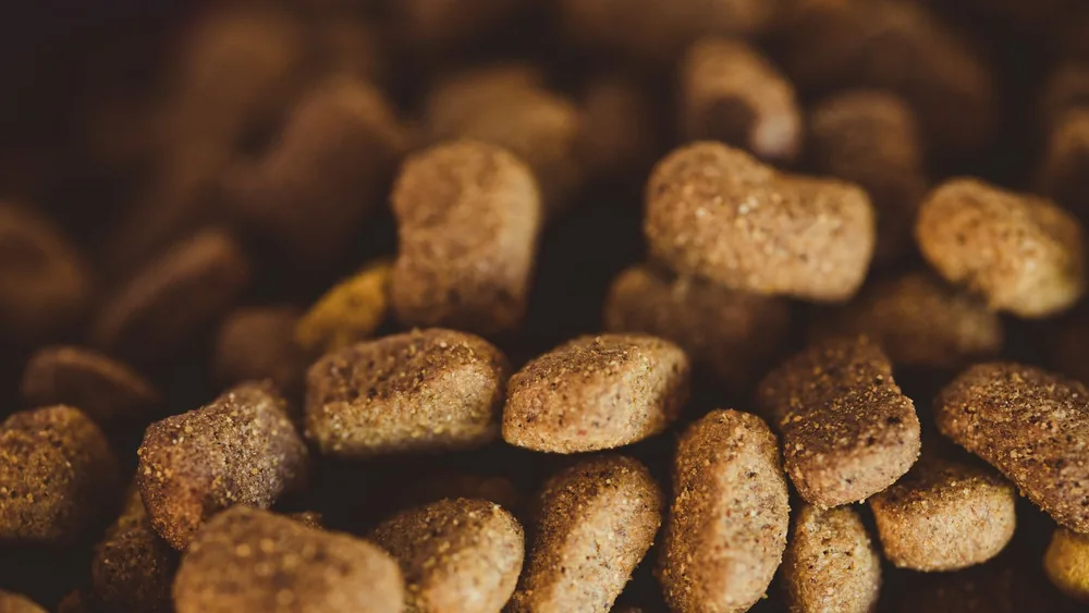 Detailed shot of brown dog kibble, perfect for pet owners and animal nutrition visuals.