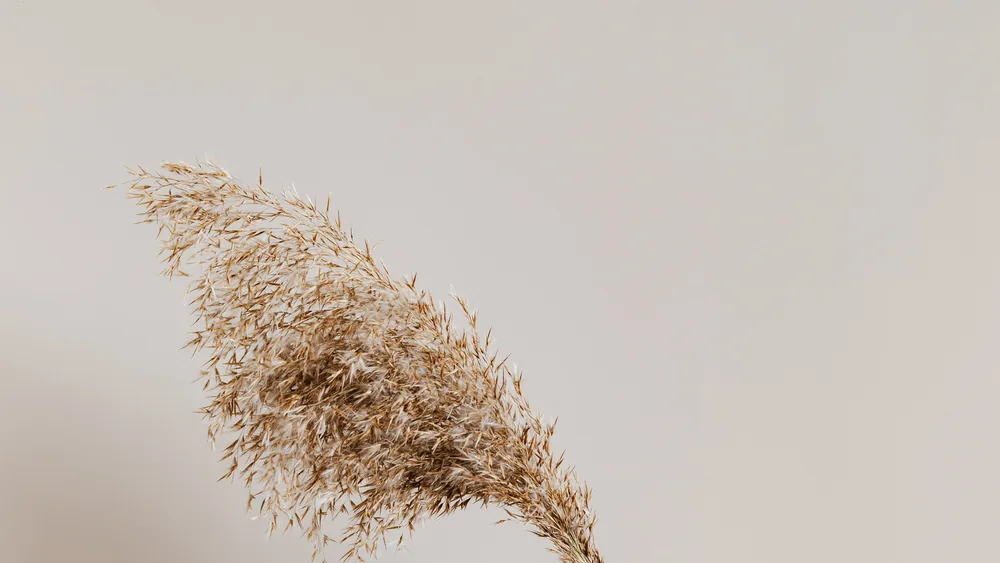Reed diffuser, scented candle, and essential oils