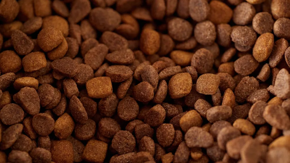 A detailed close-up of brown dry dog food kibble in various shapes and sizes.