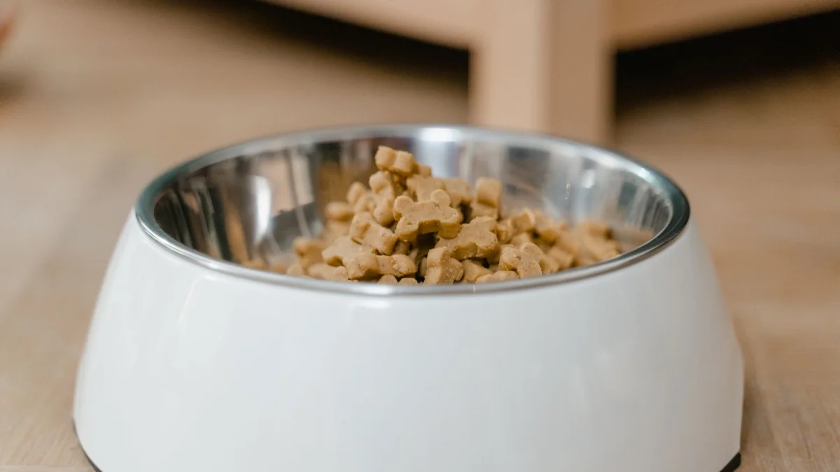 A bowl of dry kibble, the kind whose label needs reading
