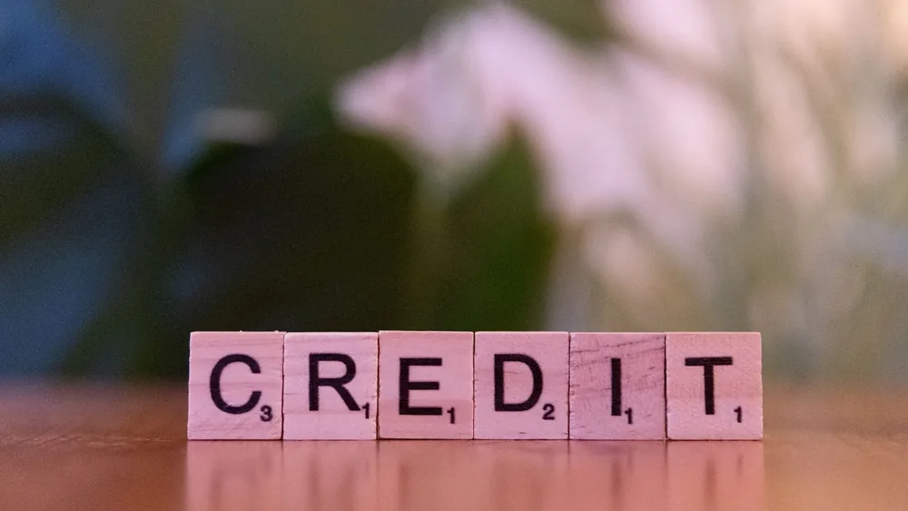 Close-up of wooden blocks spelling 'credit' with a blurred leafy background.