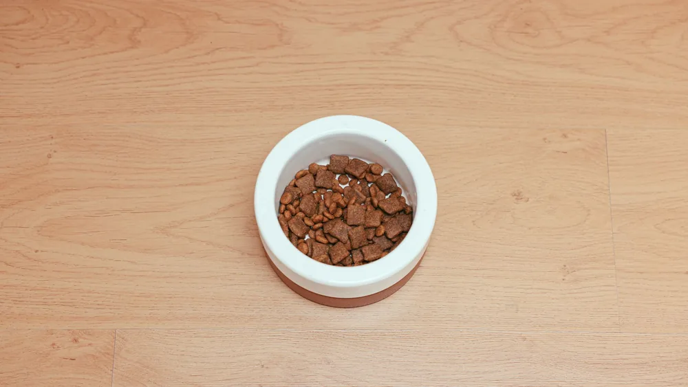 An overhead shot of dog food in a white bowl placed on a wooden floor, offering ample copy space.
