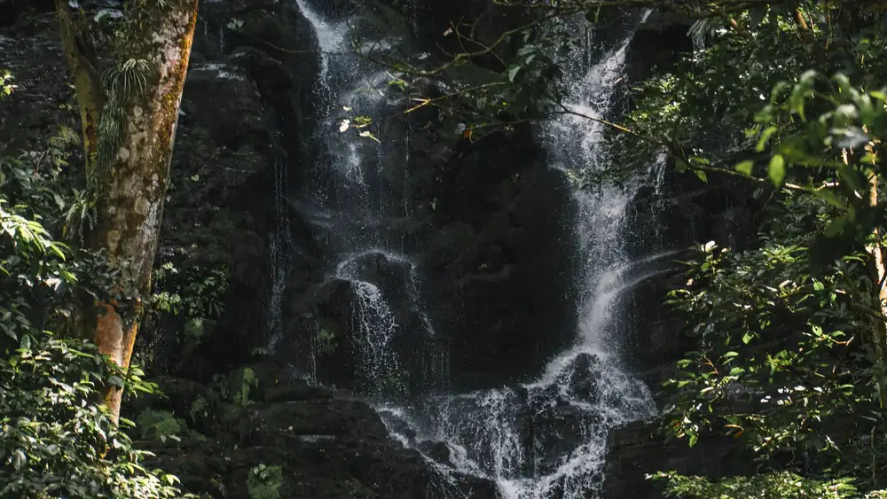 A serene waterfall cascades through dense forest greenery in Guanacaste, Costa Rica.