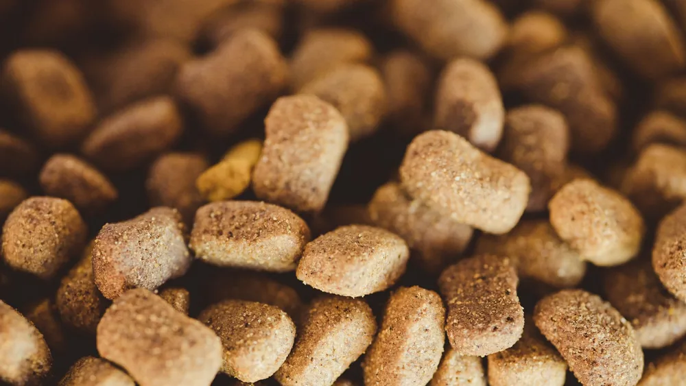 A close-up view of brown dog kibble, highlighting texture and variety.