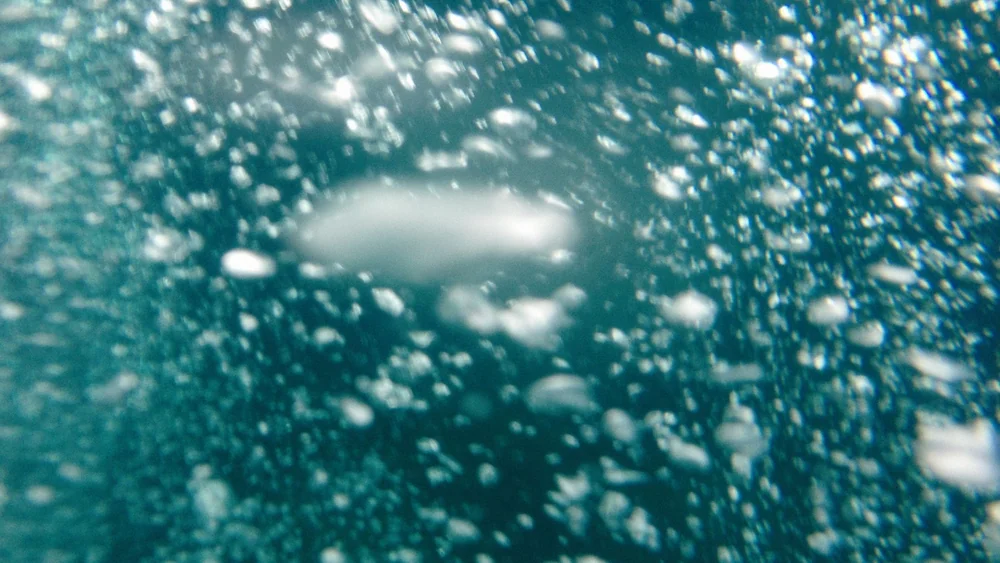 A column of air bubbles rising through water