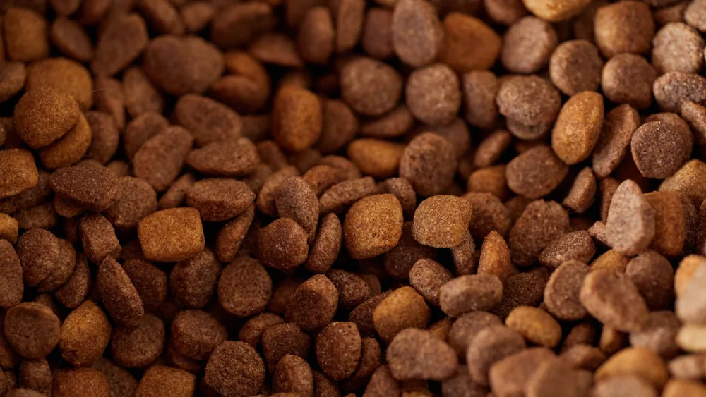 An appetizing close-up of brown dry pet food kibble, perfect for pet nutrition imagery.