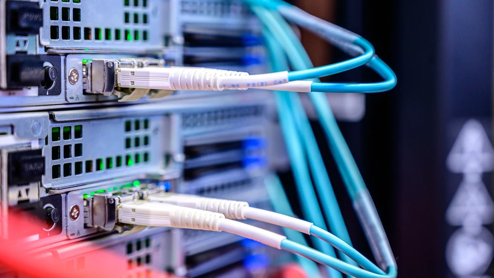 Making sure you can export your data from business software