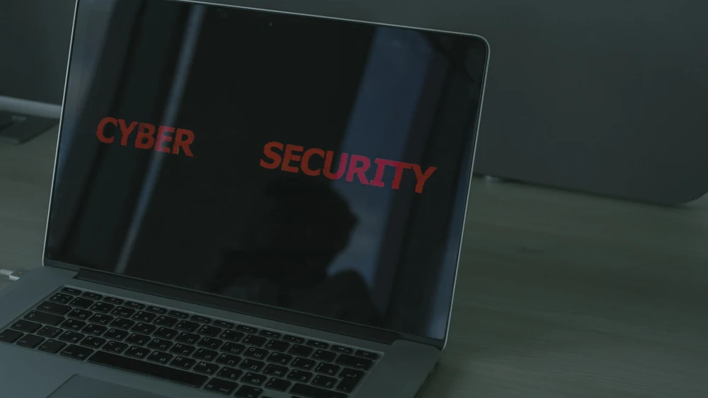 Cyber security when choosing business software